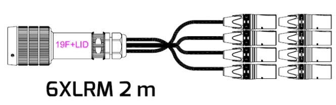 Hovedbilde LK19, 6par, Female - til - Fanout 6xXLR-M, 2m, AES ( DOMM)